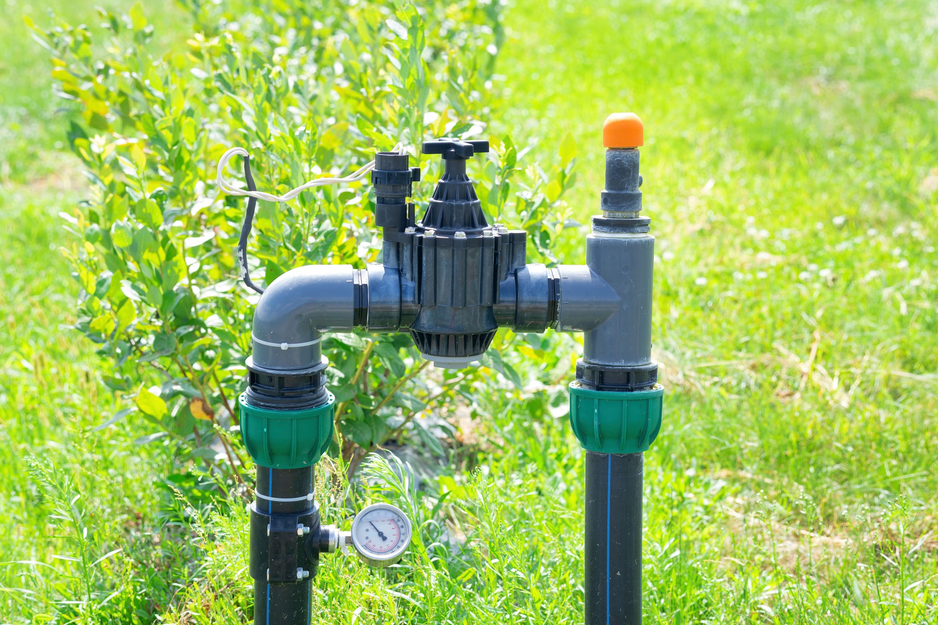 Berries field irrigation system pipeline